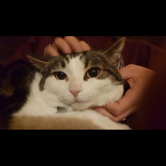 Meet your Posher, Kp - Picture 1 of 1